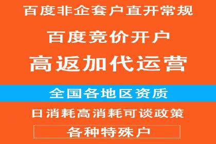 SEM主管实战案例：广告投放策略优化